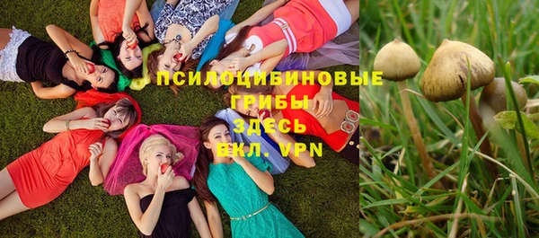 гидра Абинск