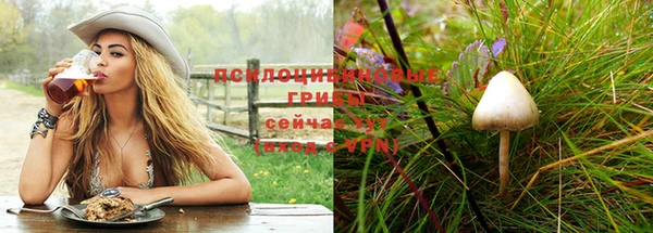 гидра Абинск