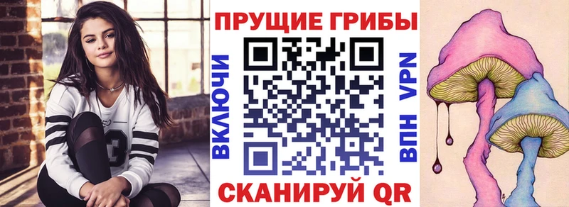 Псилоцибиновые грибы мухоморы  купить наркотики цена  ОМГ ОМГ онион  Шали 