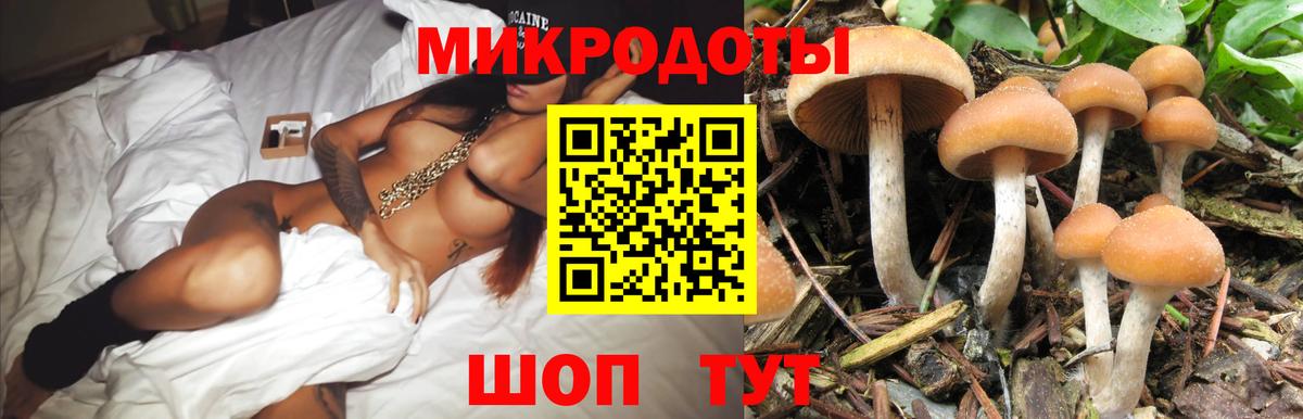 Галлюциногенные грибы ЛСД  Вход с VPN  Шали 